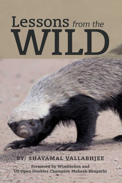 Cover image for book Lessons from the Wild