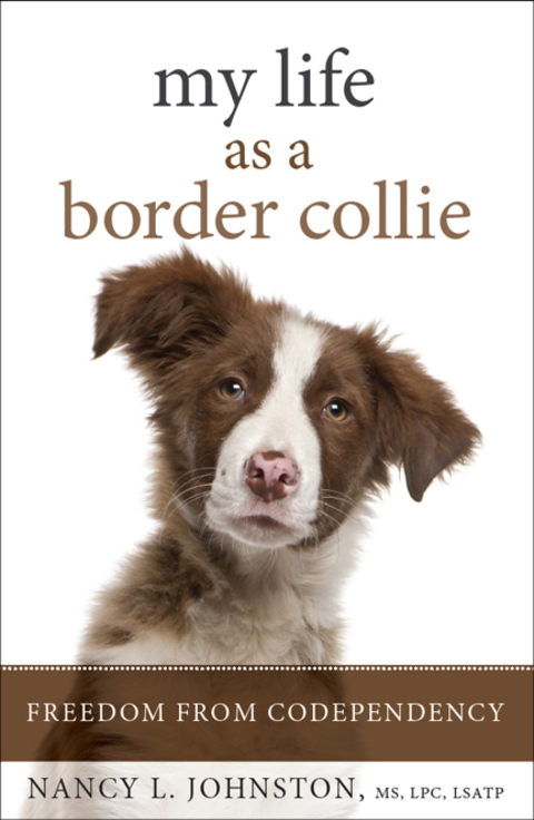 My Life As a Border Collie 
