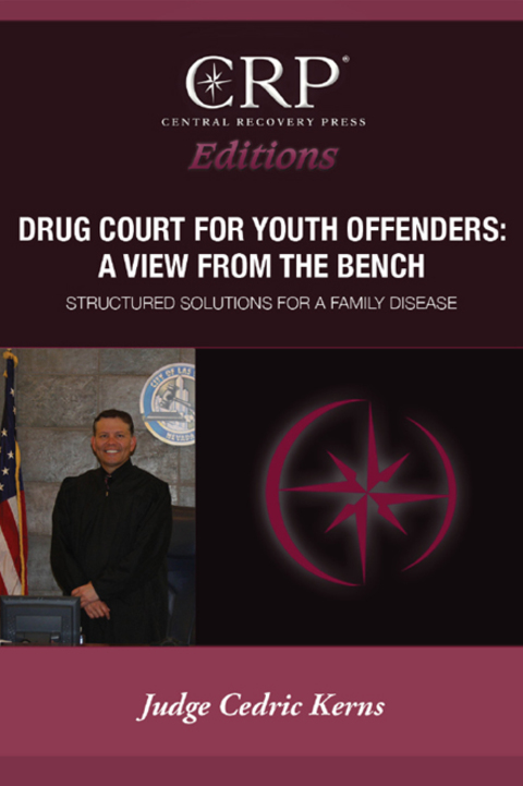 Cover image for book Drug Court for Young Offenders: A View from the Bench
