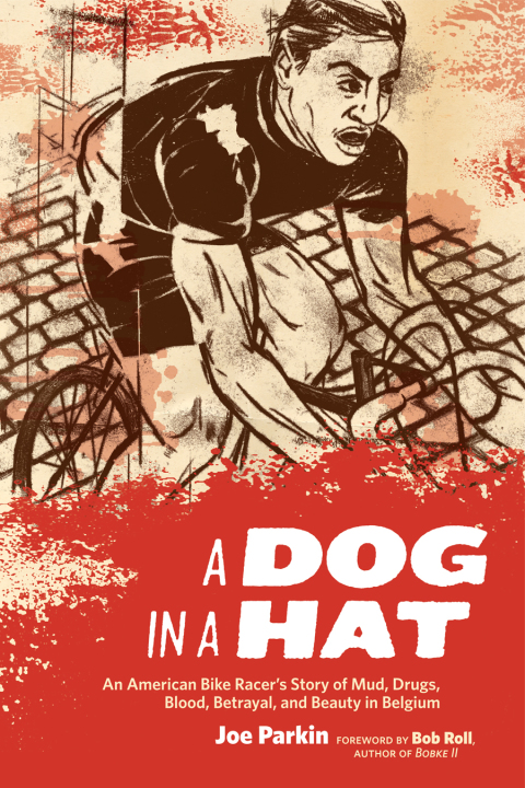 Cover image for book A Dog in a Hat