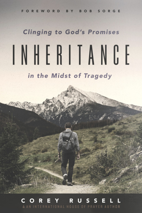 Cover image for book Inheritance