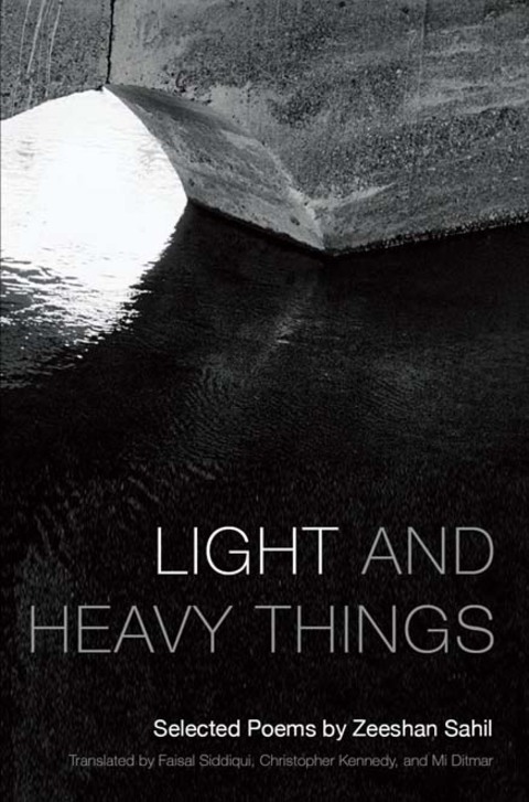 Cover image for book Light and Heavy Things