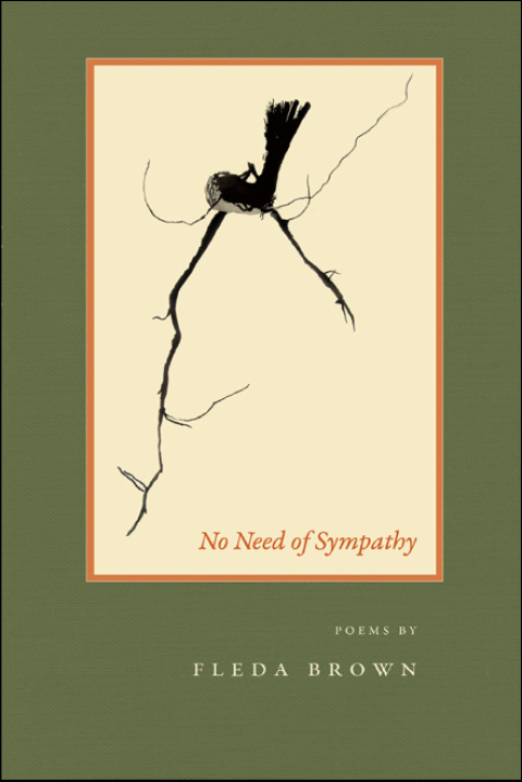 Cover image for book No Need of Sympathy