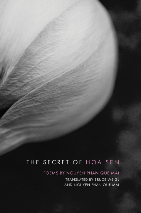 Cover image for book The Secret of Hoa Sen