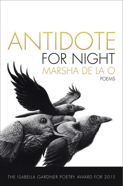 Antidote for Night 