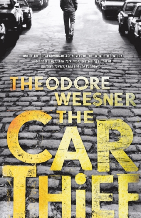 Cover image for book The Car Thief