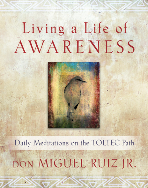 Cover image for book Living a Life of Awareness