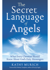 Titelbild: The Secret Language of Angels 9781938289620