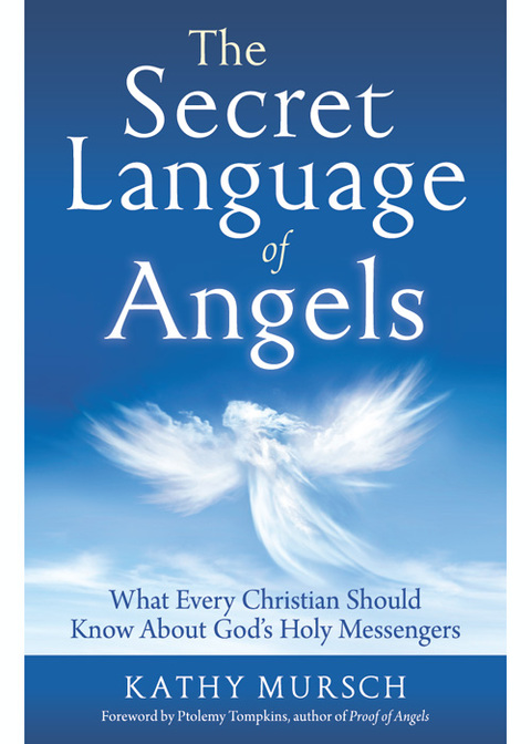 Cover image for book The Secret Language of Angels