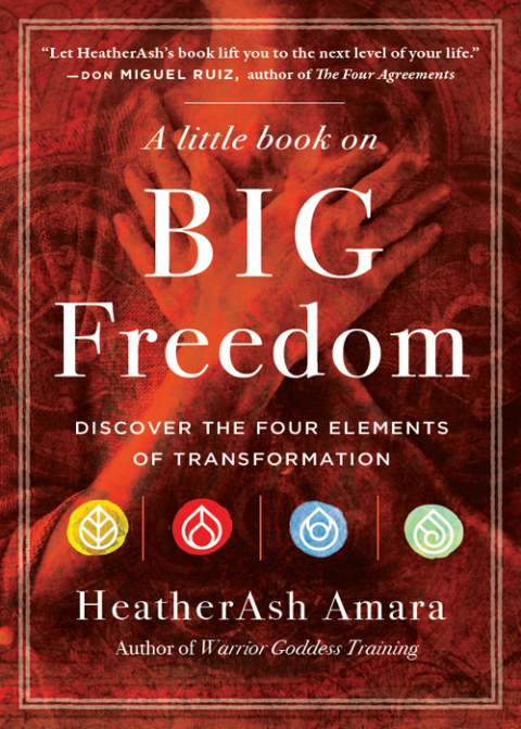 Cover image for book A Little Book on Big Freedom
