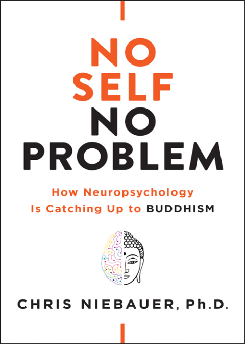 Cover image for book No Self, No Problem