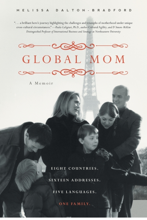 Cover image for book Global Mom