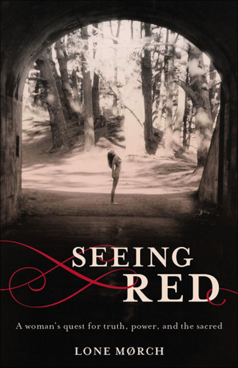 Cover image for book Seeing Red