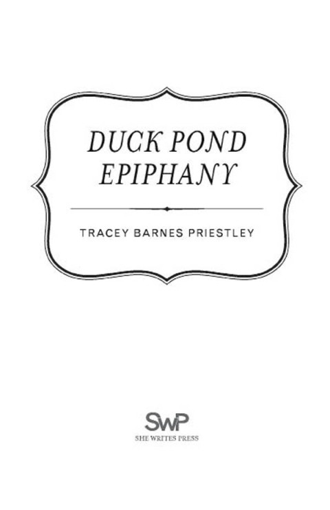 Cover image for book Duck Pond Epiphany