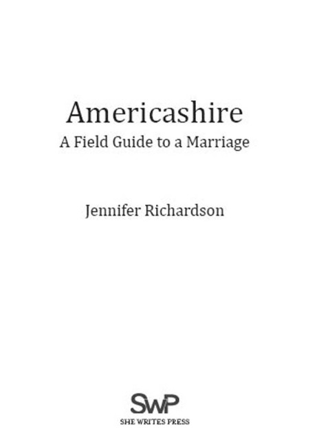Cover image for book Americashire