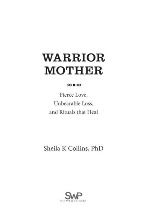 Cover image for book Warrior Mother