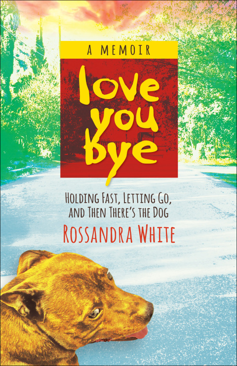 Cover image for book Loveyoubye