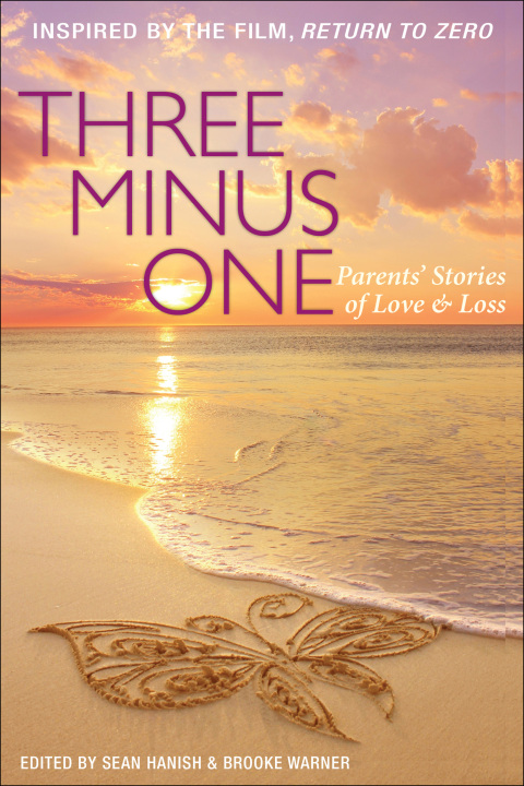 Cover image for book Three Minus One