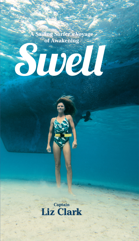 Cover image for book Swell