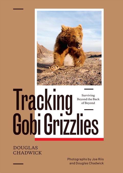 Cover image for book Tracking Gobi Grizzlies