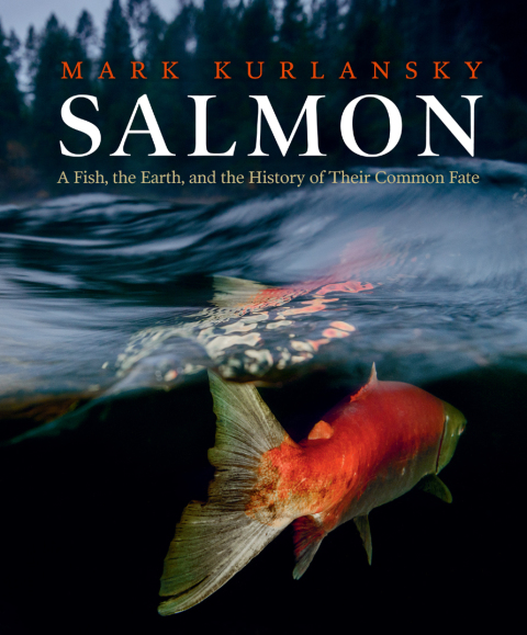 Cover image for book Salmon