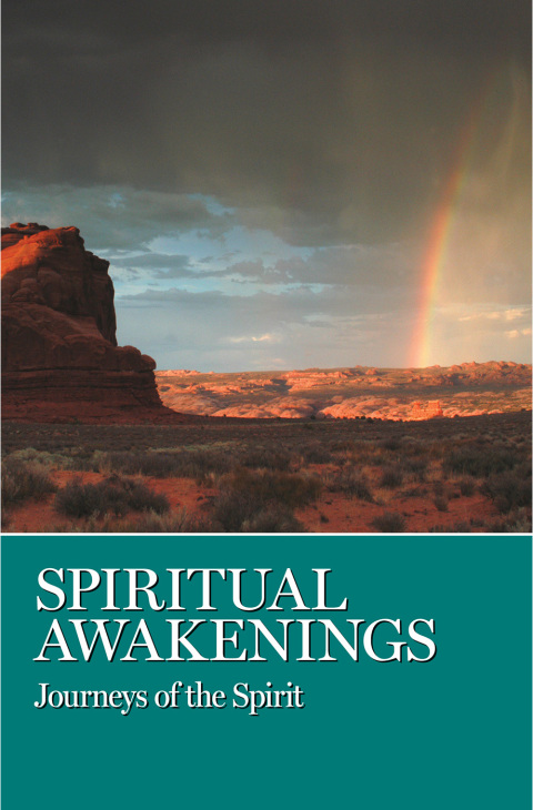 Cover image for book Spiritual Awakenings