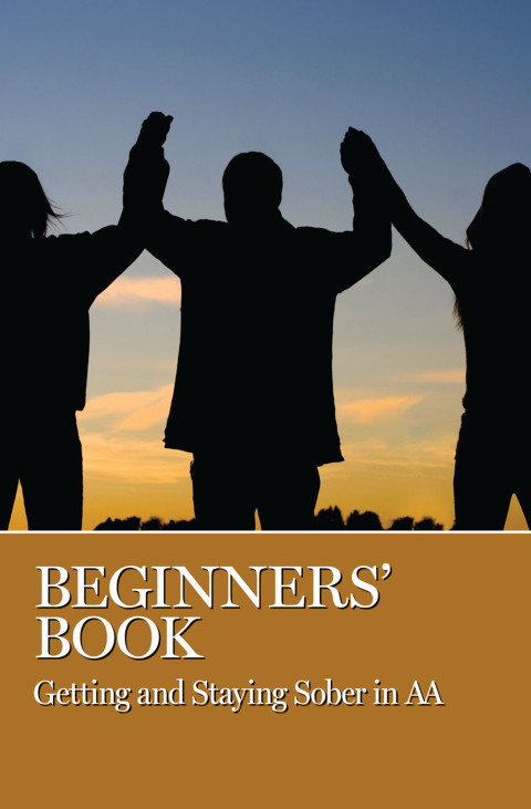 Cover image for book Beginner's Book