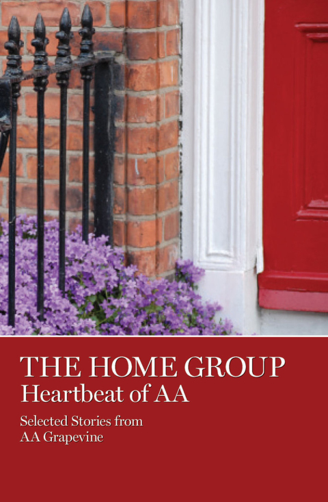 Cover image for book The Home Group