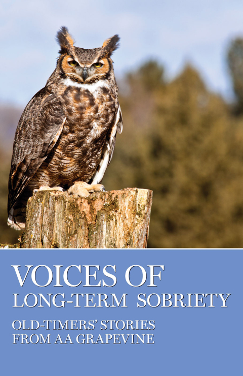 Cover image for book Voices of Long-Term Sobriety