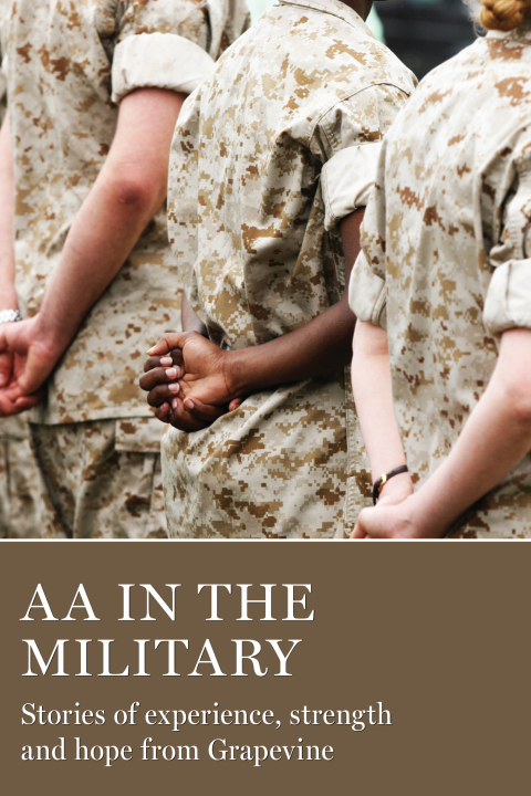Cover image for book AA in the Military