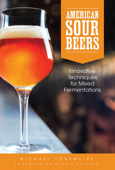 Cover image for book American Sour Beer
