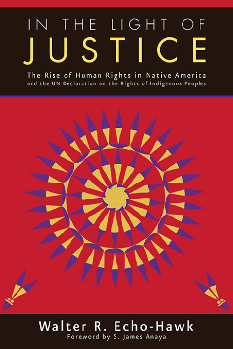 Cover image for book In the Light of Justice
