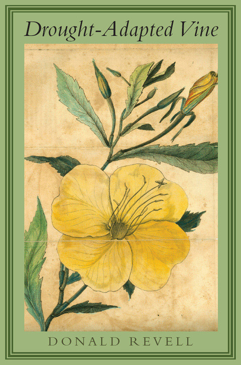 Cover image for book Drought-Adapted Vine