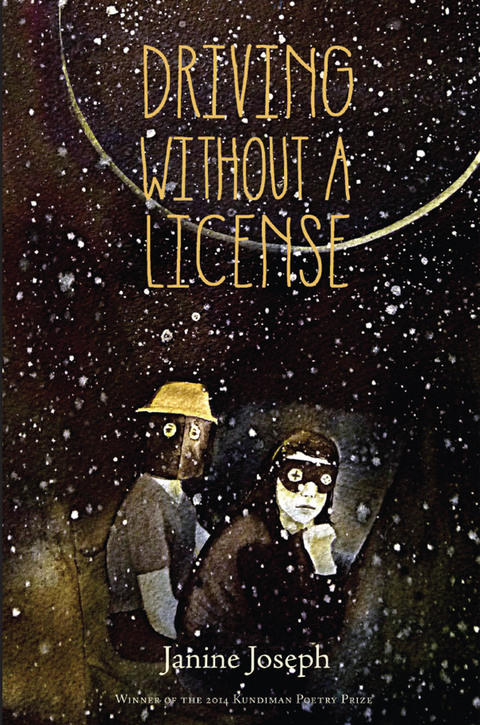 Cover image for book Driving Without a License