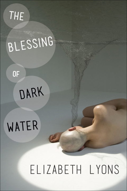 Cover image for book The Blessing of Dark Water