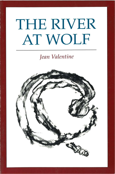Cover image for book The River at Wolf