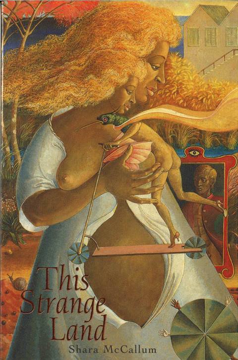 Cover image for book This Strange Land