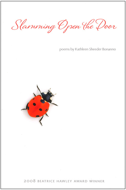 Cover image for book Slamming Open the Door