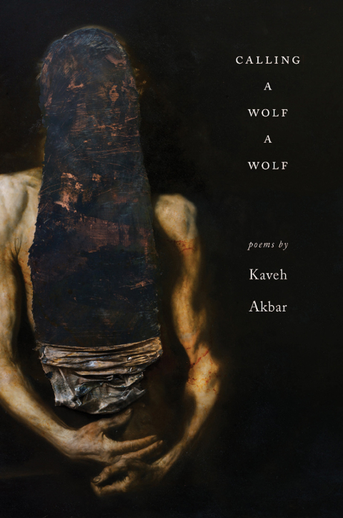 Cover image for book Calling a Wolf a Wolf