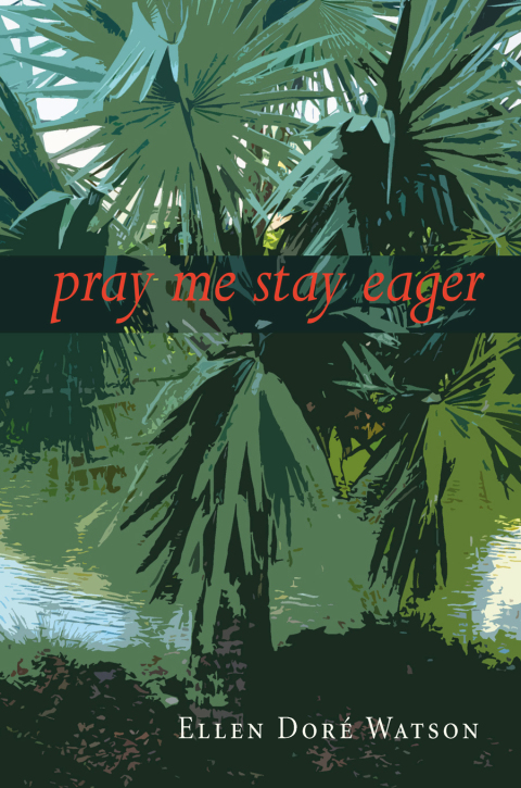 Cover image for book pray me stay eager