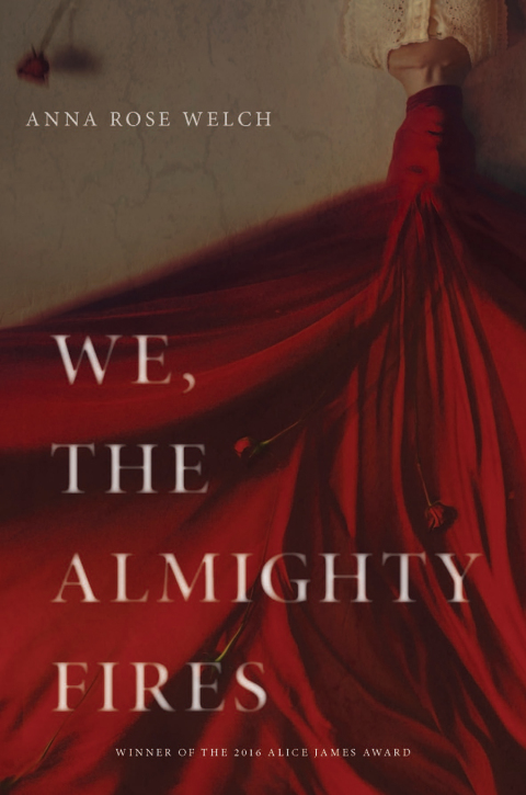 Cover image for book We, the Almighty Fires