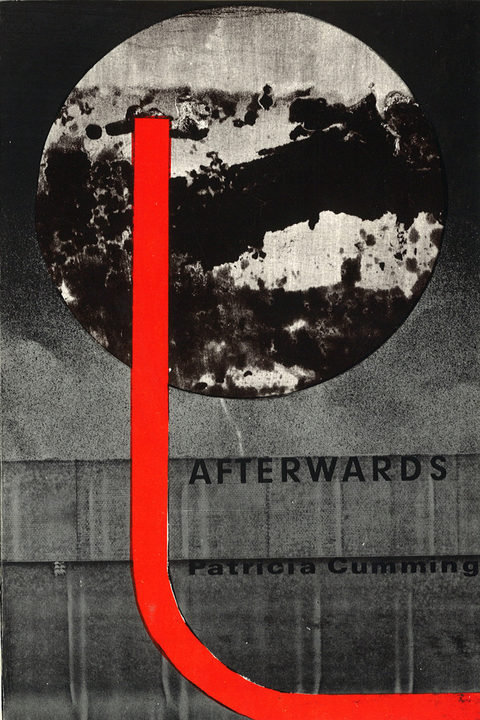 Cover image for book Afterwards