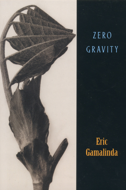 Cover image for book Zero Gravity