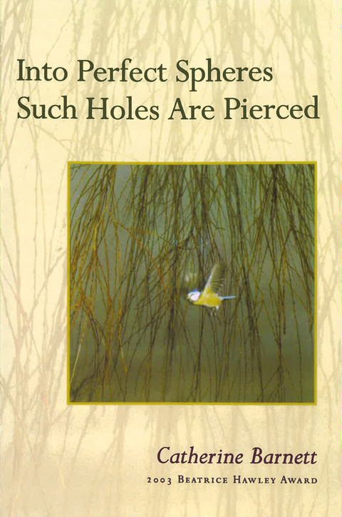 Cover image for book Into Perfect Spheres Such Holes Are Pierced