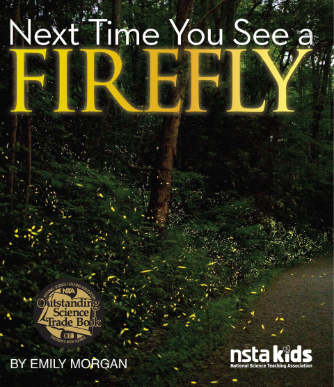 Cover image for book Next Time You See a Firefly