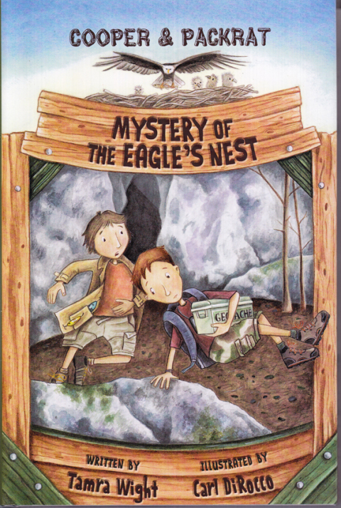 Cover image for book Mystery of the Eagle's Nest