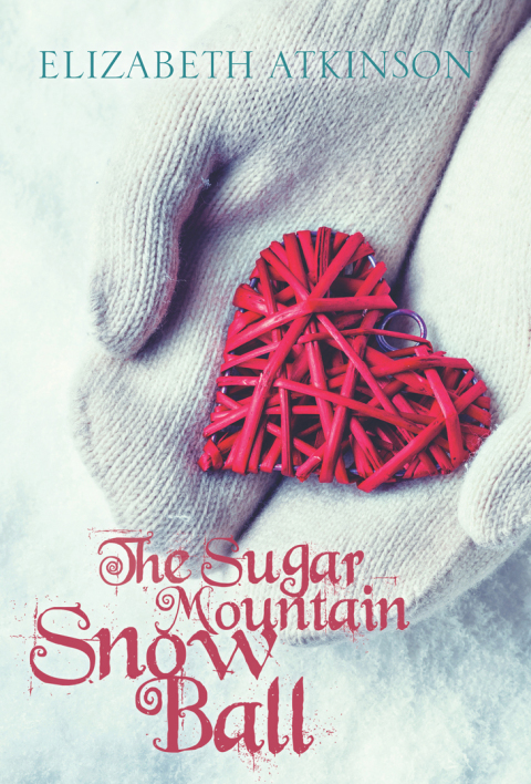 Cover image for book The Sugar Mountain Snow Ball
