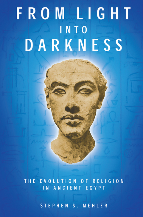 Cover image for book FROM LIGHT INTO DARKNESS