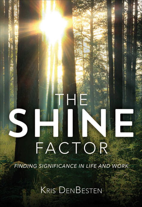 Cover image for book The Shine Factor