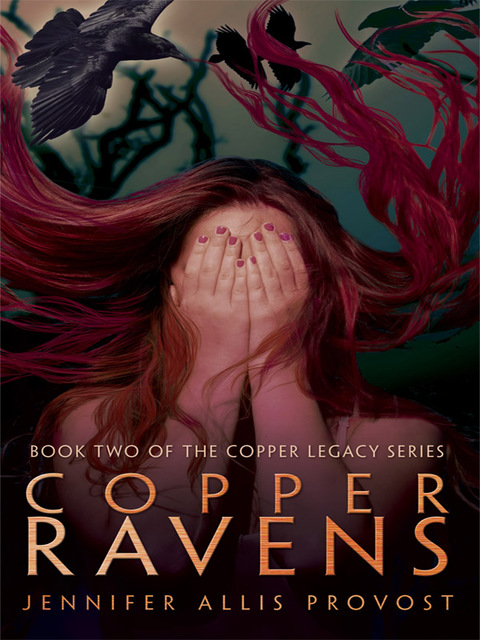 Cover image for book Copper Ravens
